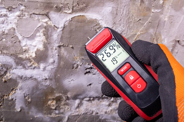 Attic Mold Removal in Harlan, IN