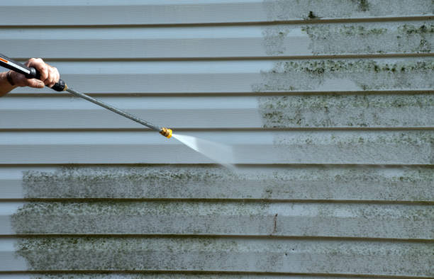 Best Attic Mold Removal  in Harlan, IN