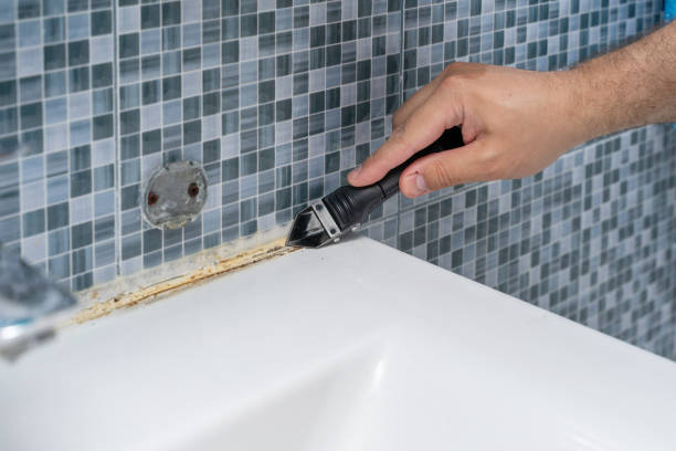 Best Certified Mold Removal  in Harlan, IN