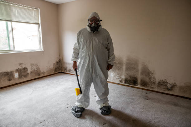 Best Crawl Space Mold Removal  in Harlan, IN